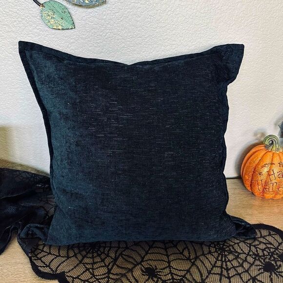 Dwell Studio Black Soft Chenille Velvet Feather Throw Pillow - Picture 1 of 4